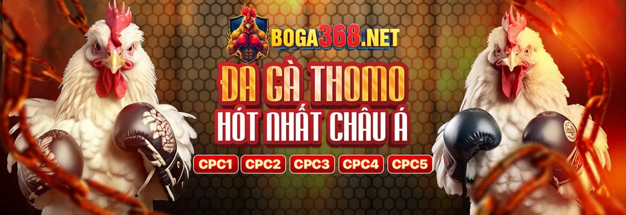 Tổng quan về 789bet tải app, thể hiện sự chuyên nghiệp và hiện đại của nền tảng cá cược trực tuyến hàng đầu Việt Nam.